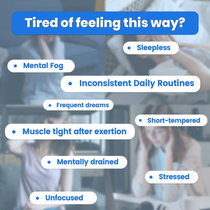 DeepCalm 14-in-1 Magnesium Gummies Complex